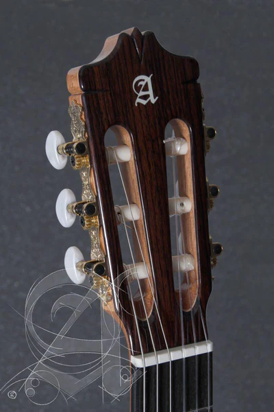 Guitarra Acustica Alhambra 7-P