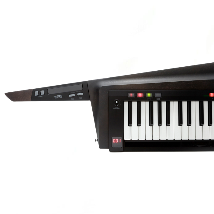 SINTETIZADOR KORG RK-100S 2BK