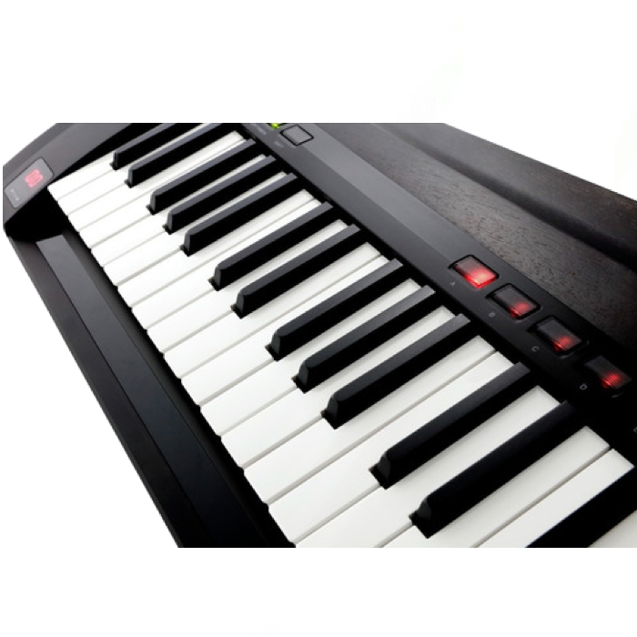 SINTETIZADOR KORG RK-100S 2BK
