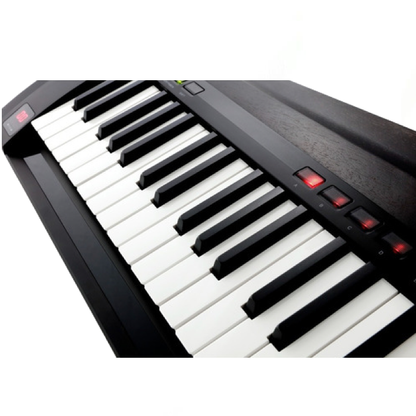 SINTETIZADOR KORG RK-100S 2BK