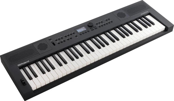 TECLADO ROLAND  GOKEYS5-GT GRAFITO