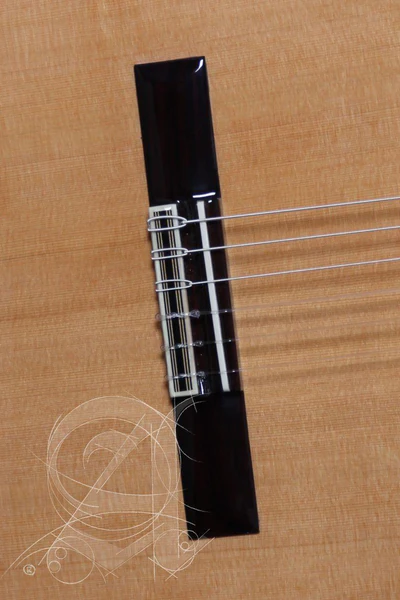 Guitarra Acustica Alhambra 7-P