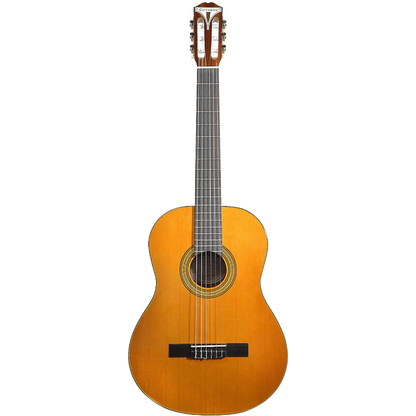 Guitarra Acustica Epiphone Eap2anch1 Pro-1