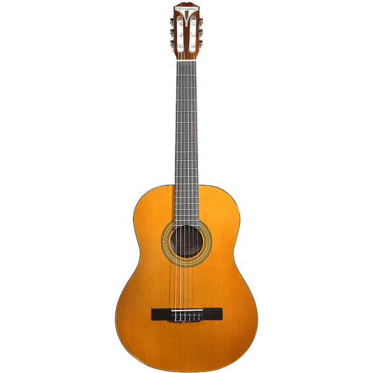 Guitarra Acustica Epiphone Eap2anch1 Pro-1