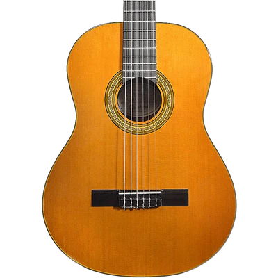 Guitarra Acustica Epiphone Eap2anch1 Pro-1