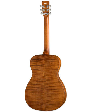 Guitarra Electroacustica Epiphone Dwhoundlx Dobro Hound