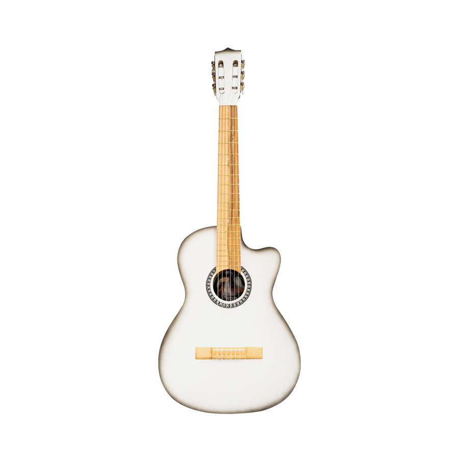 GUITARRA CLÀSICA - PASTO