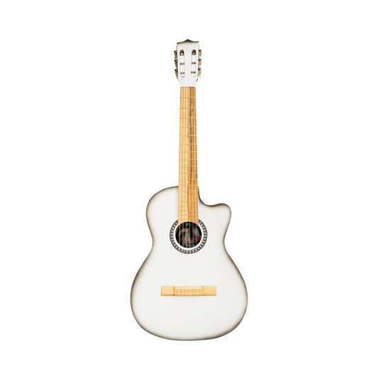 GUITARRA CLÀSICA - PASTO