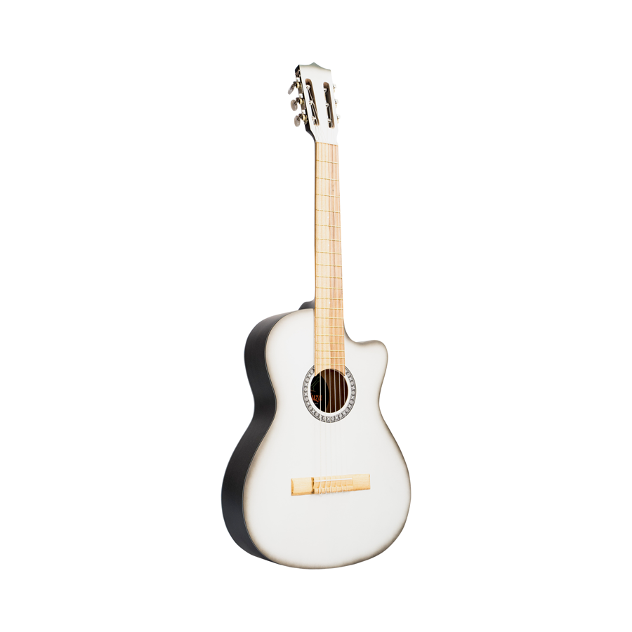 GUITARRA CLÀSICA - PASTO