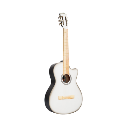 GUITARRA CLÀSICA - PASTO